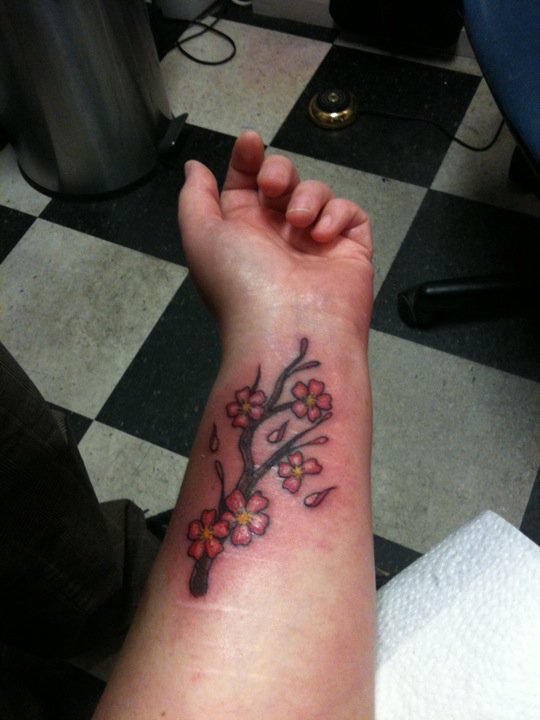 169017_497090387125_594287125_6614101_550458_n