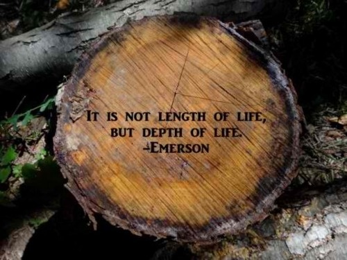 From here: http://mhel02.tumblr.com/post/10690234405